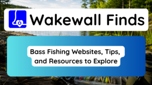 Bass Fishing Websites, Tips, and Resources to Explore