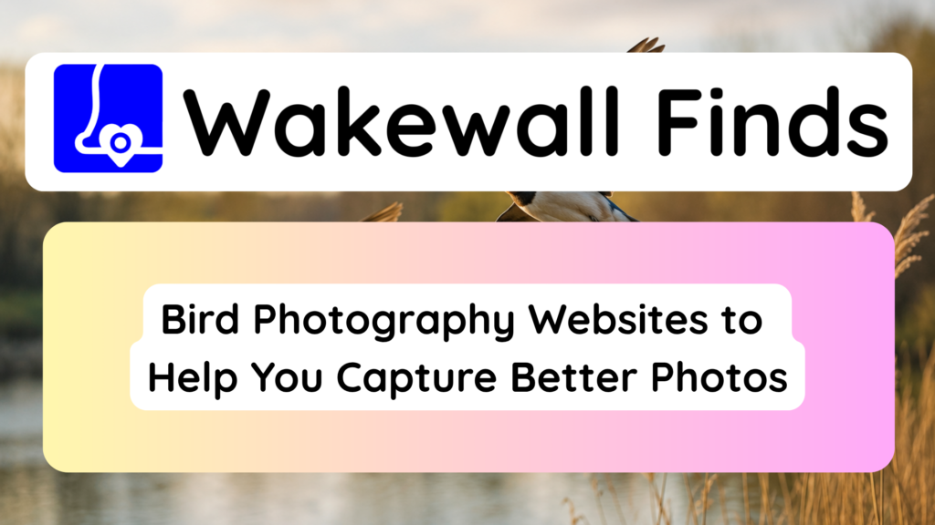 Bird Photography Websites to Help You Capture Better Photos